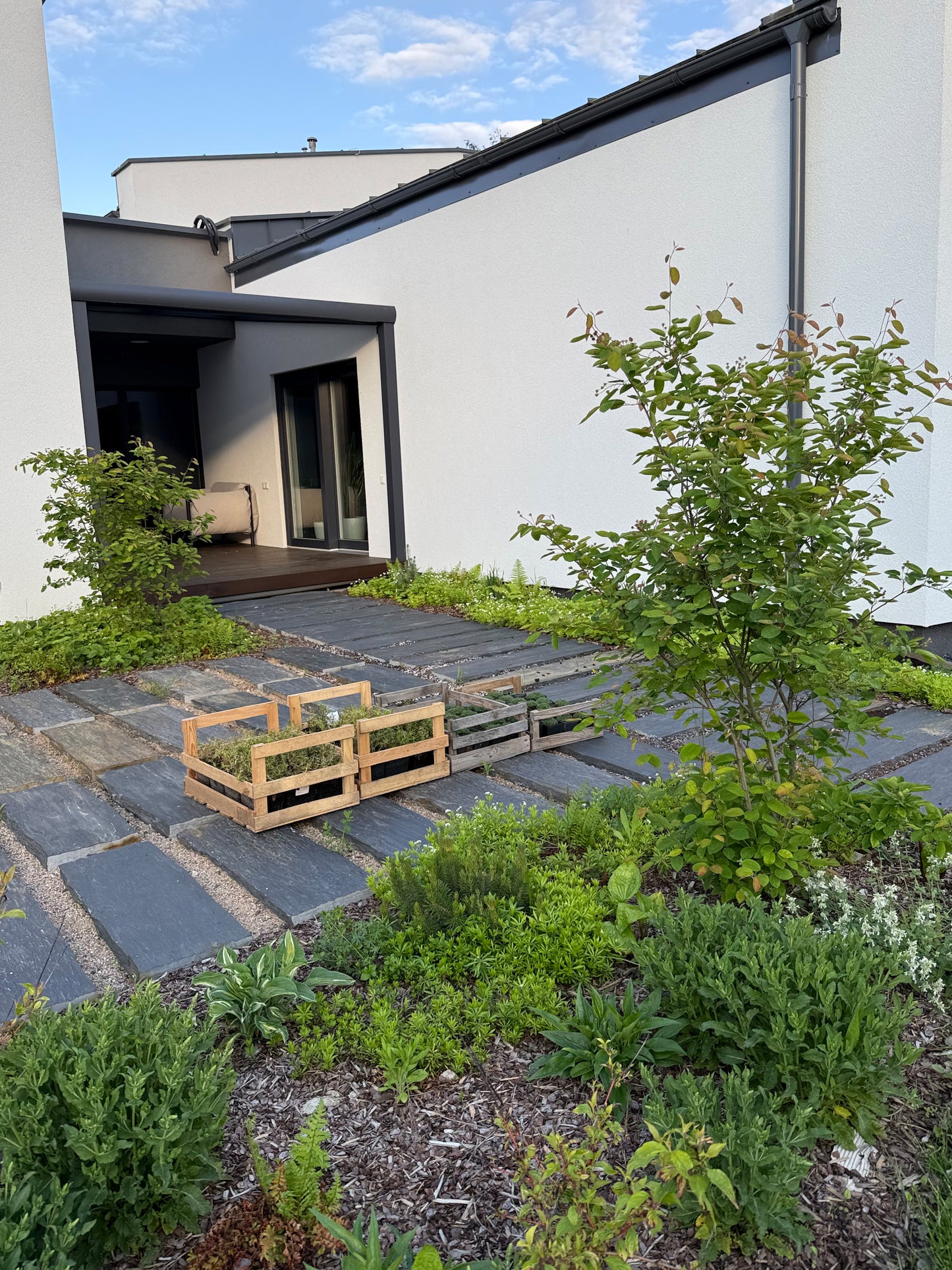 Sklypo dizaino konsultacija nuotoliu (online) 30 minučių