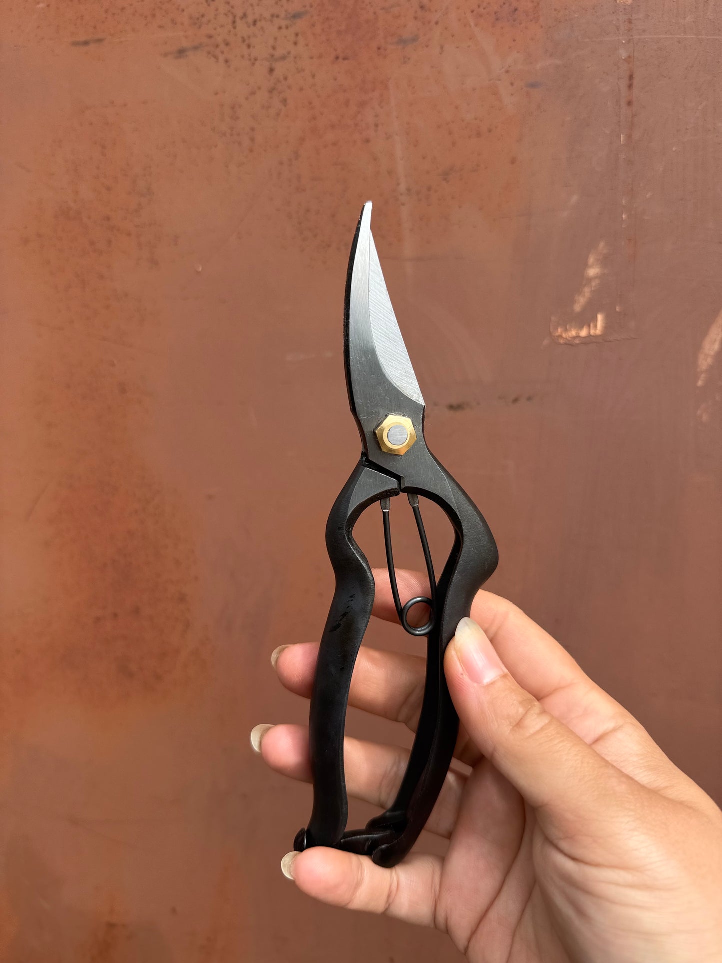 Japoniškas sekatorius H-T26 Premium klasė