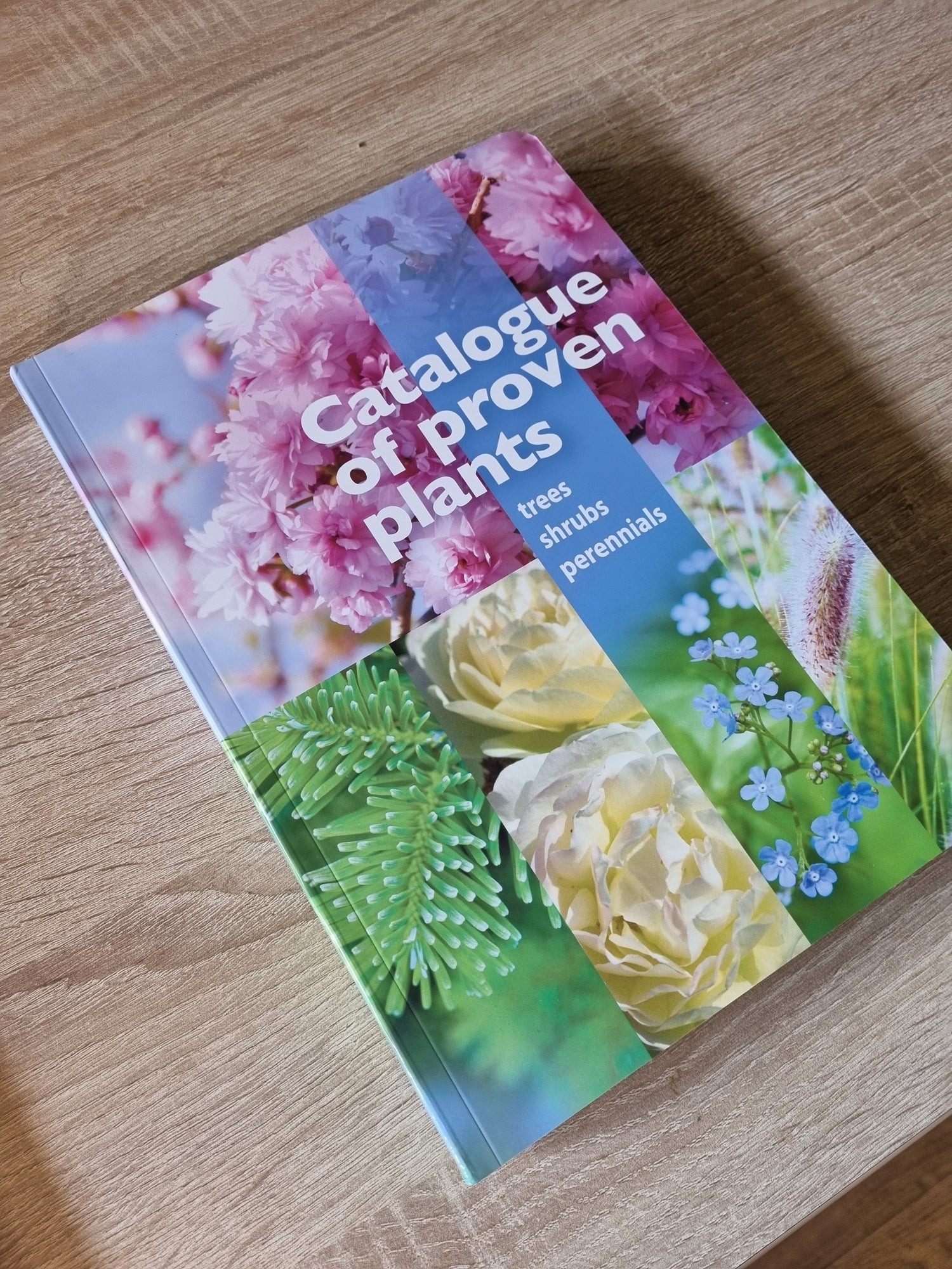 Konsultacijos, projektai, knygos