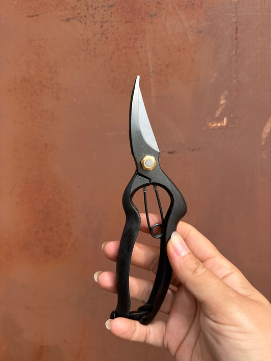 Japoniškas sekatorius  H-T26 Premium klasė