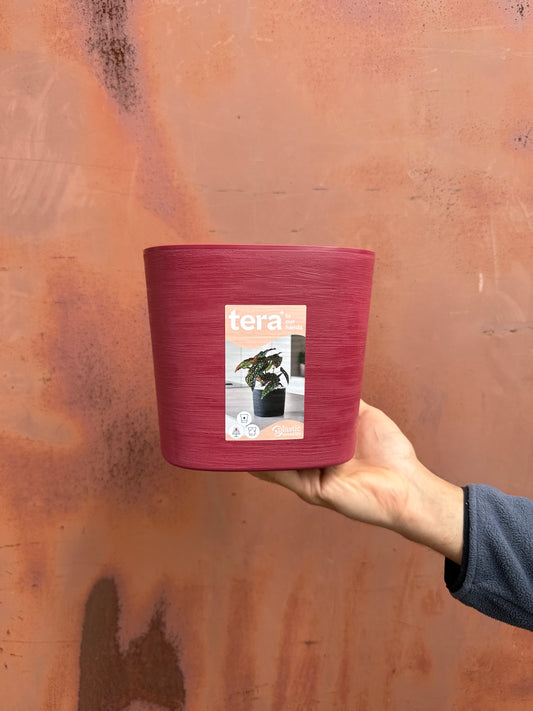 Modernus vazonas "CAPRI" 19 red grape, Mažas