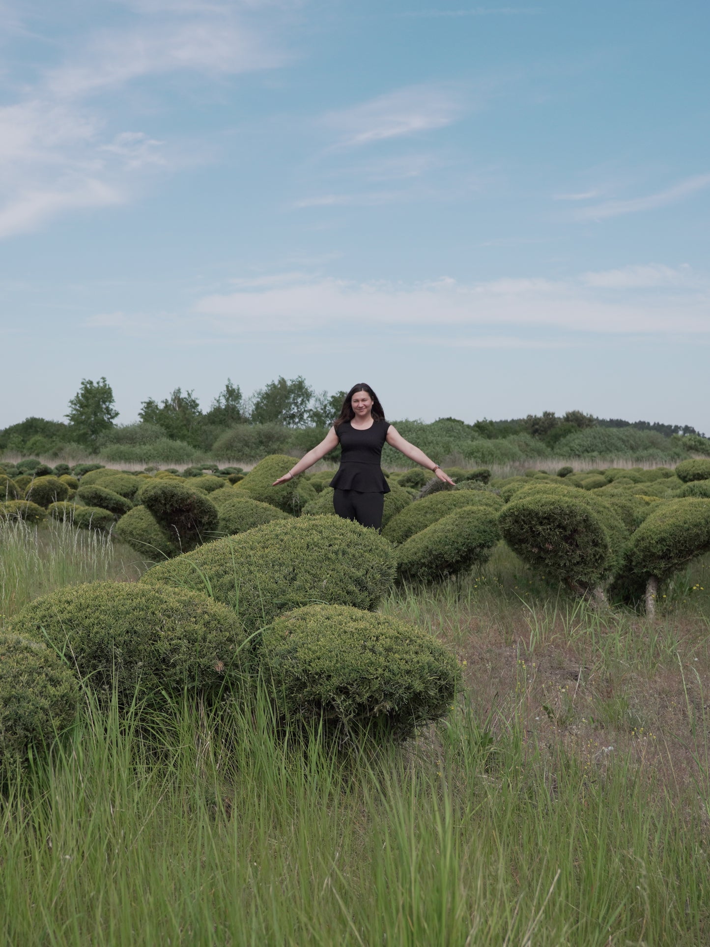 Sklypo dizaino konsultacija skype (Vilniaus mieste)
